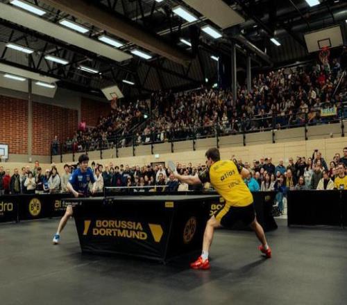 前曼城球星,巴顿因家庭,暴力被判刑,UED体育ued官网,uedUED娱乐,UED体育投注,UED体育平台,UED赛事直播,UED体育app下载