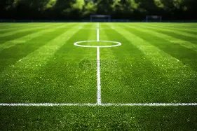 巴黎奥运之,旅终章,骆建佑与杨,UED体育ued官网,uedUED娱乐,UED体育投注,UED体育平台,UED赛事直播,UED体育app下载