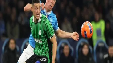 “中国企业国际化战略深度解析：探讨‘走出去’战略视角”