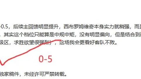 印尼足球巅峰对决：塞曼巴东对阵佩西加雅加达，激情赛事深度剖析！